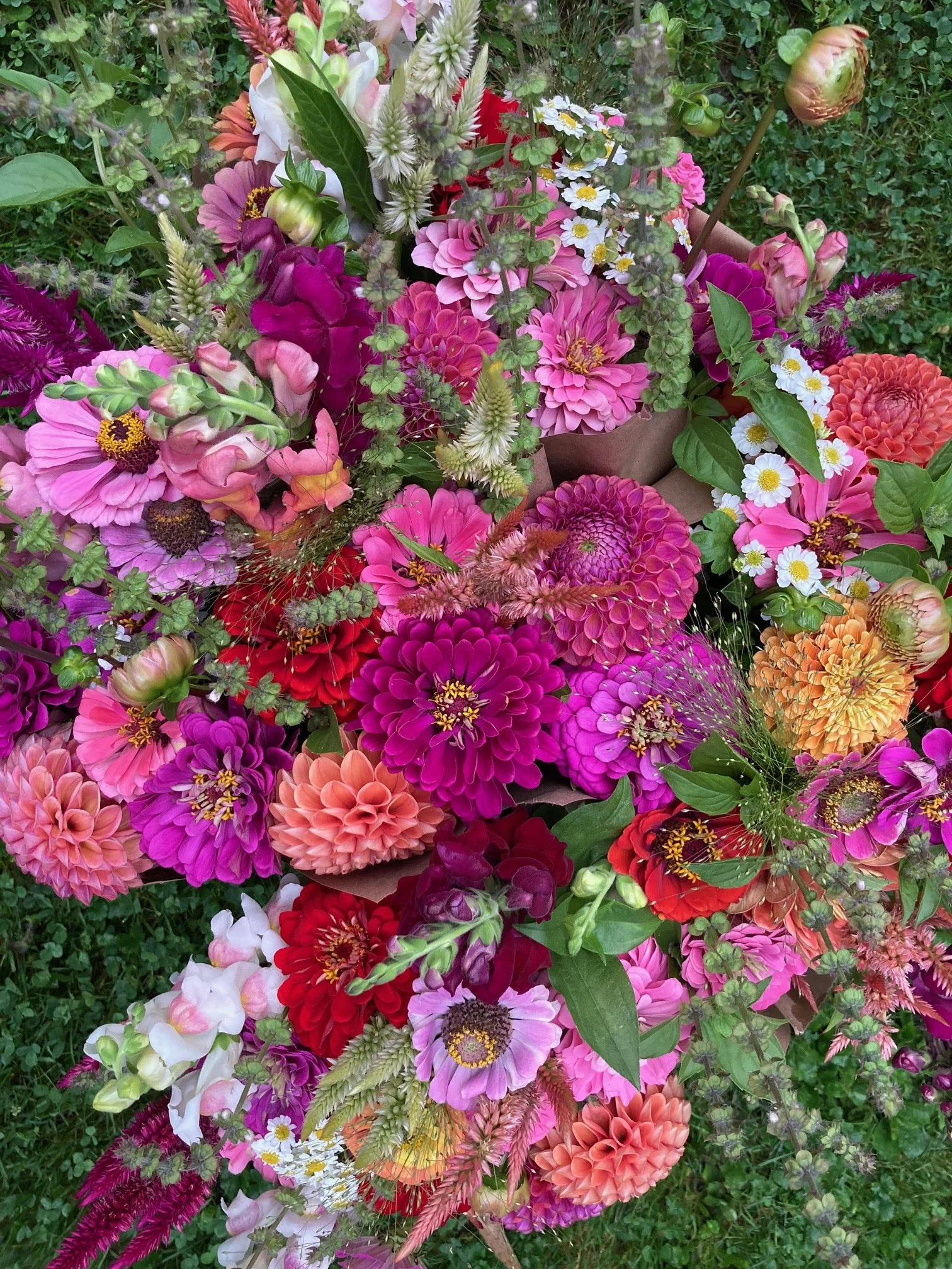 image1 (29).jpeg