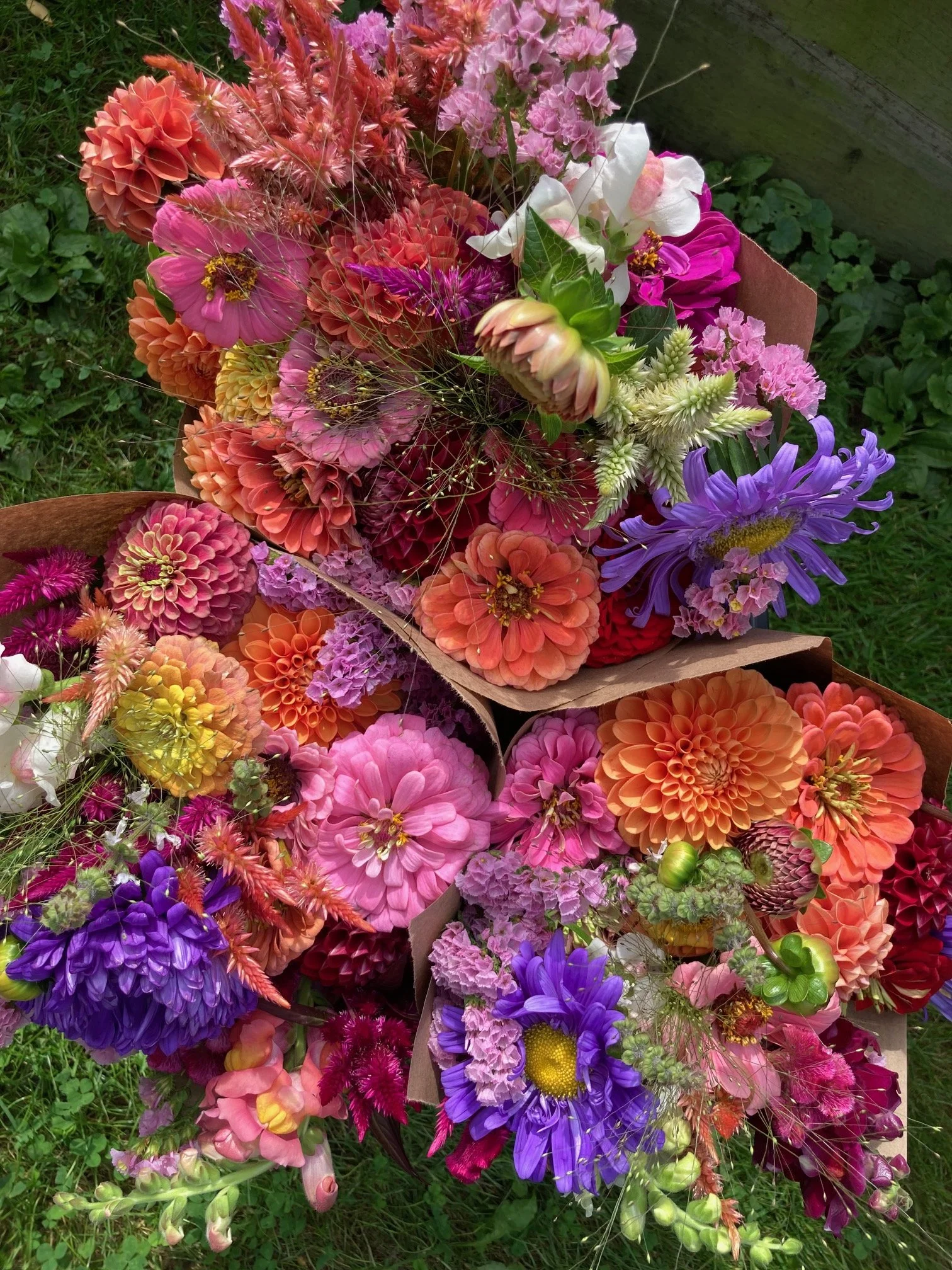 Fresh Bouquets at my Roadside Flower Stand
