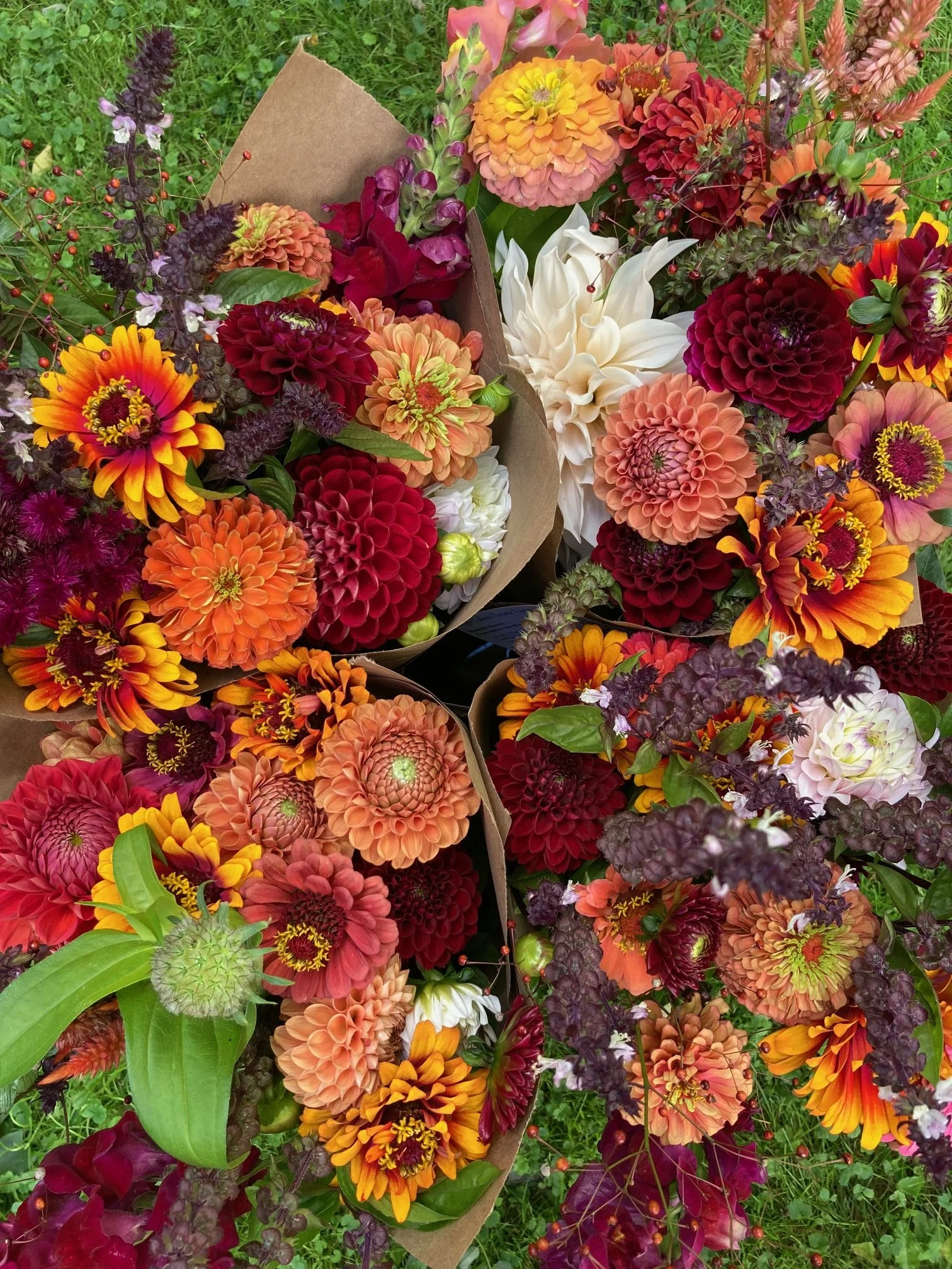 Beautiful Fall Colored Bouquets at Hopewell Market