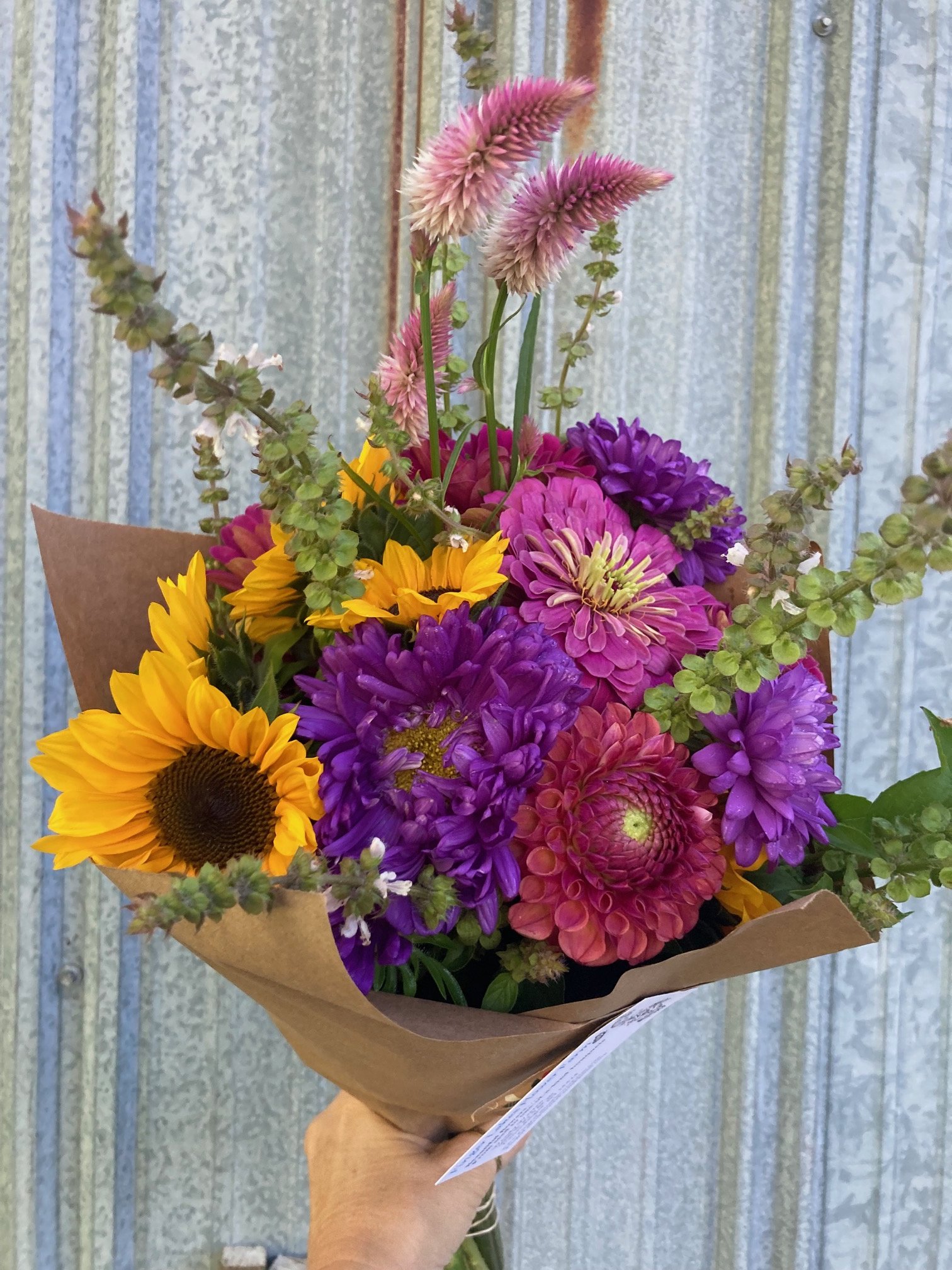 image3 (12).jpeg