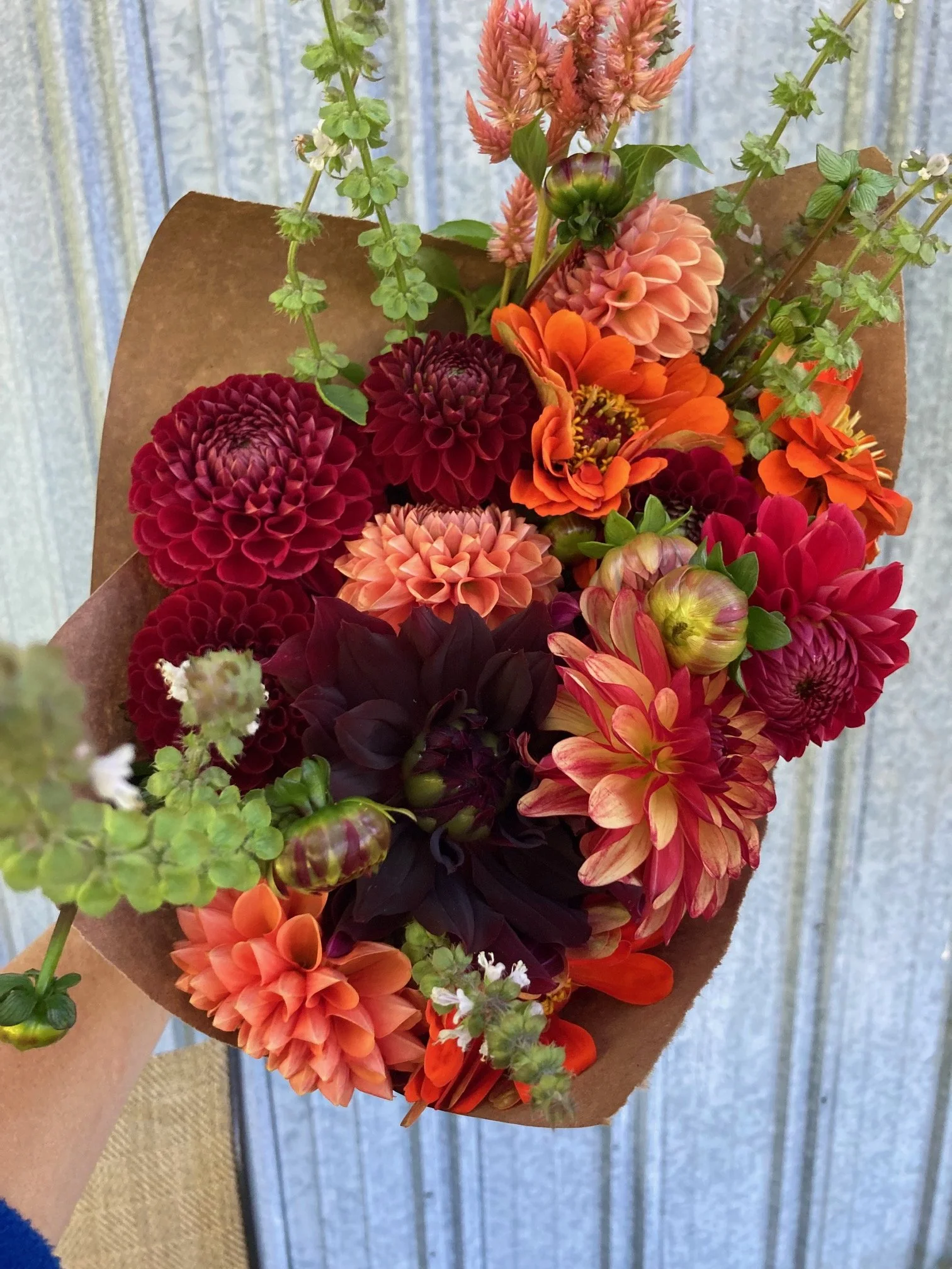 image3 (14).jpeg