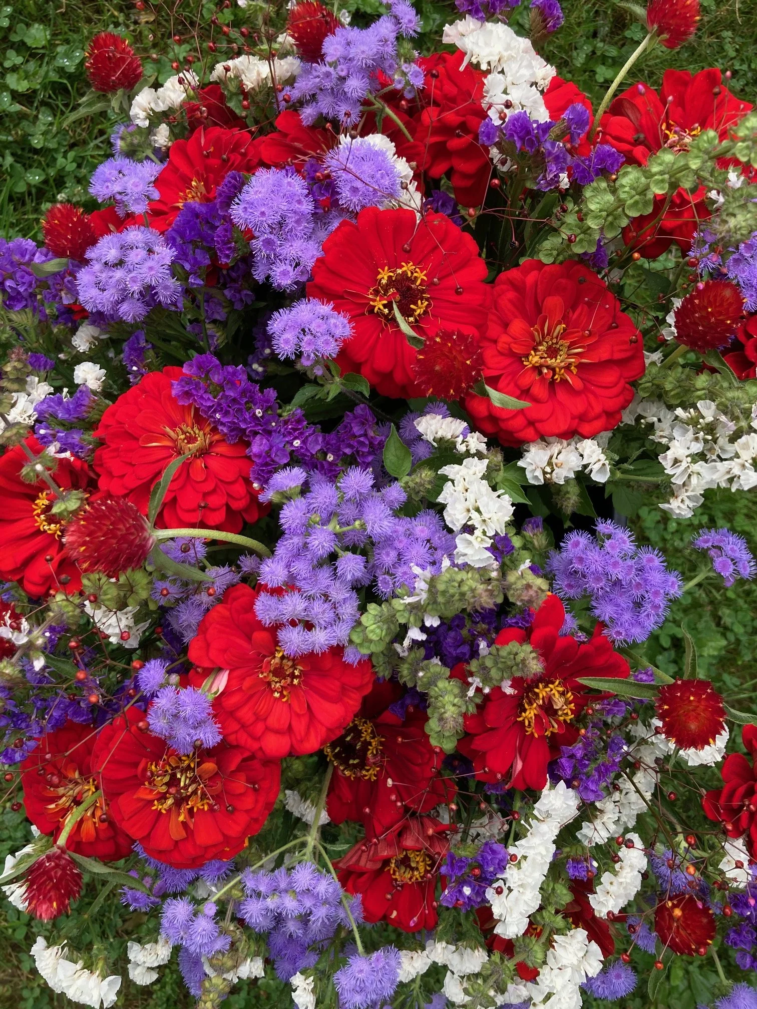 Buffalo Bills Red, White &amp; Blue Bouquets at On The Rocks Bar &amp; Grill