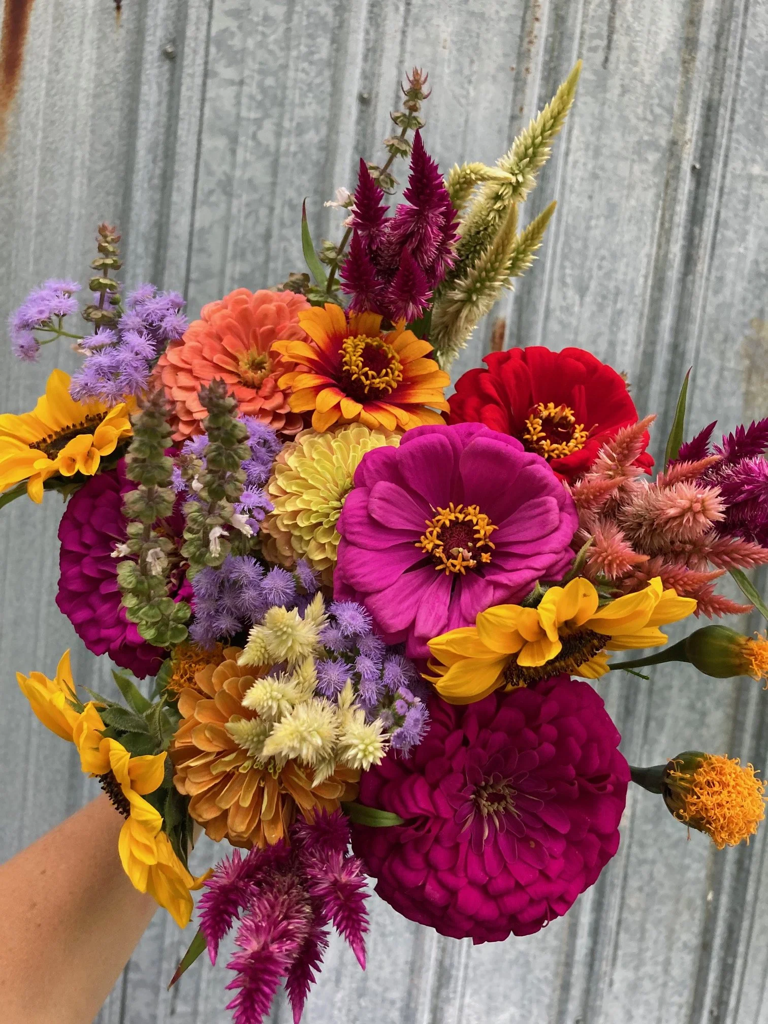 image1 (40).jpeg