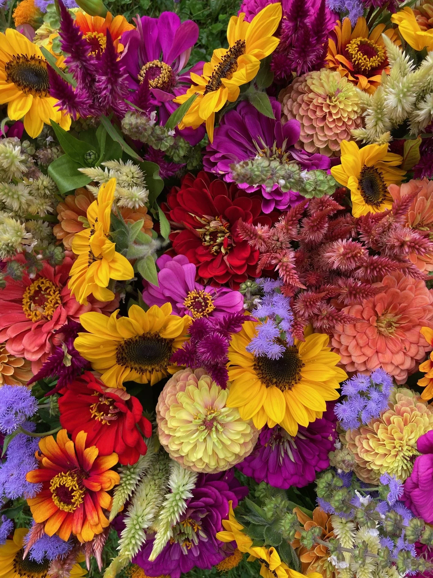 Colorful Fall Bouquets at Hopewell Market