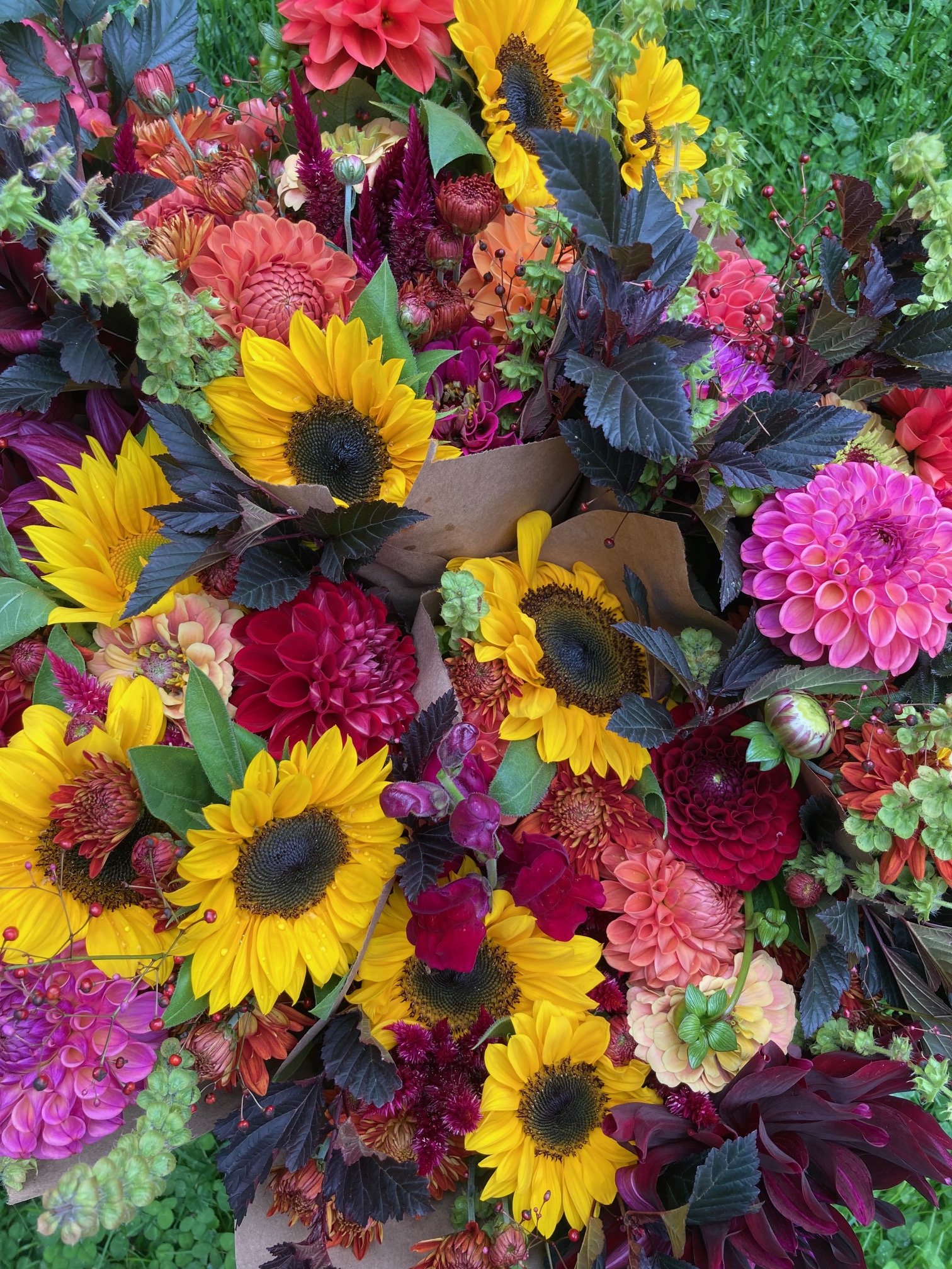 IMG_5187 (1).jpeg
