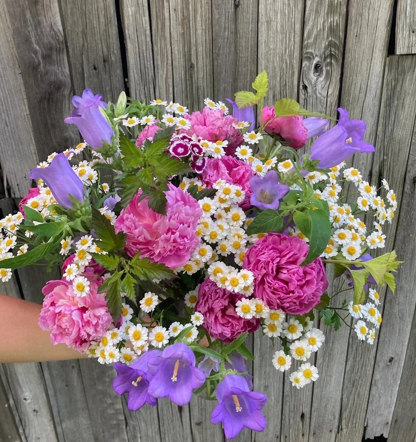 Vase Arrangement - Medium