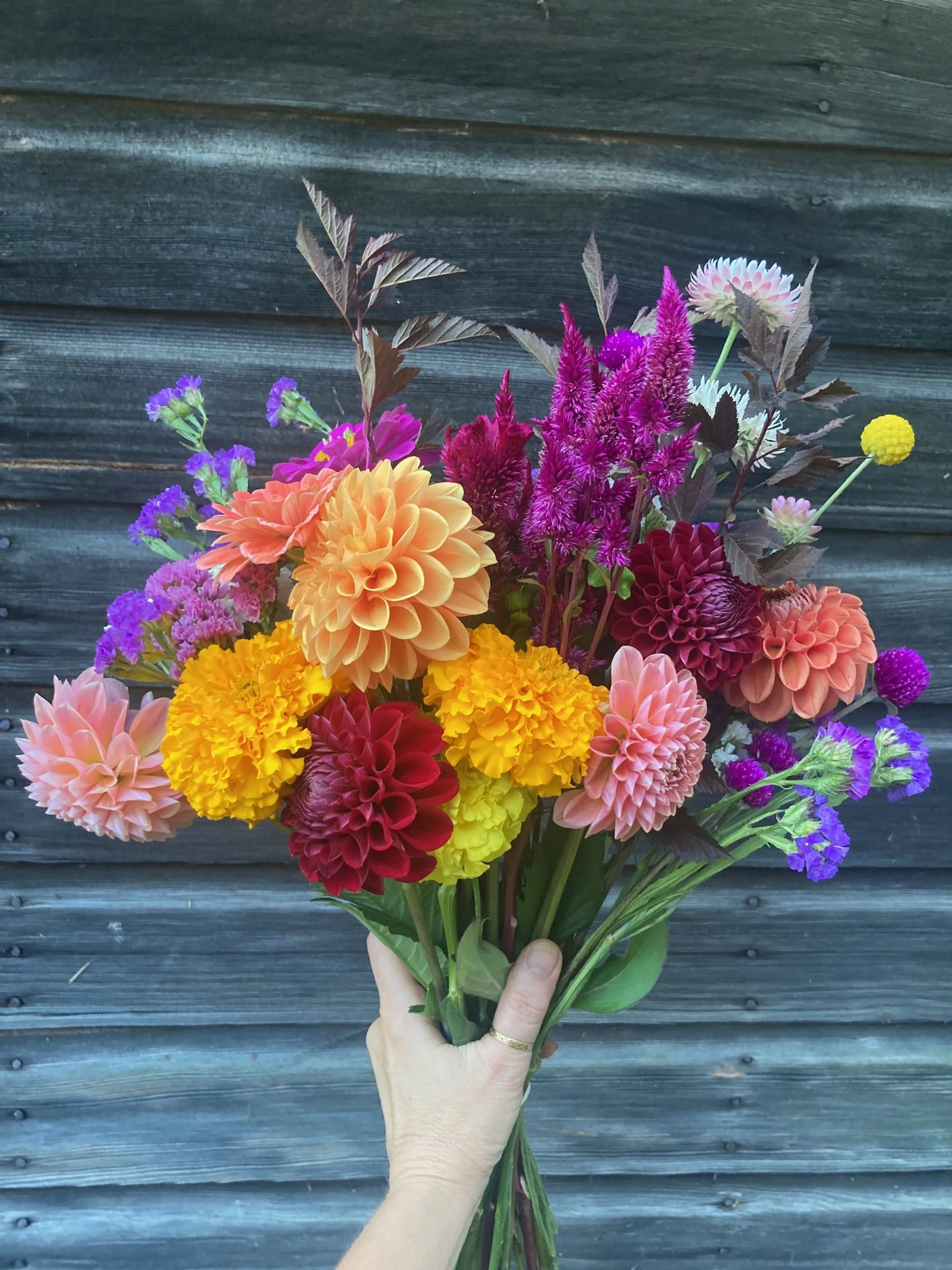 9/23-fall colored bouquet at Hopewell Market