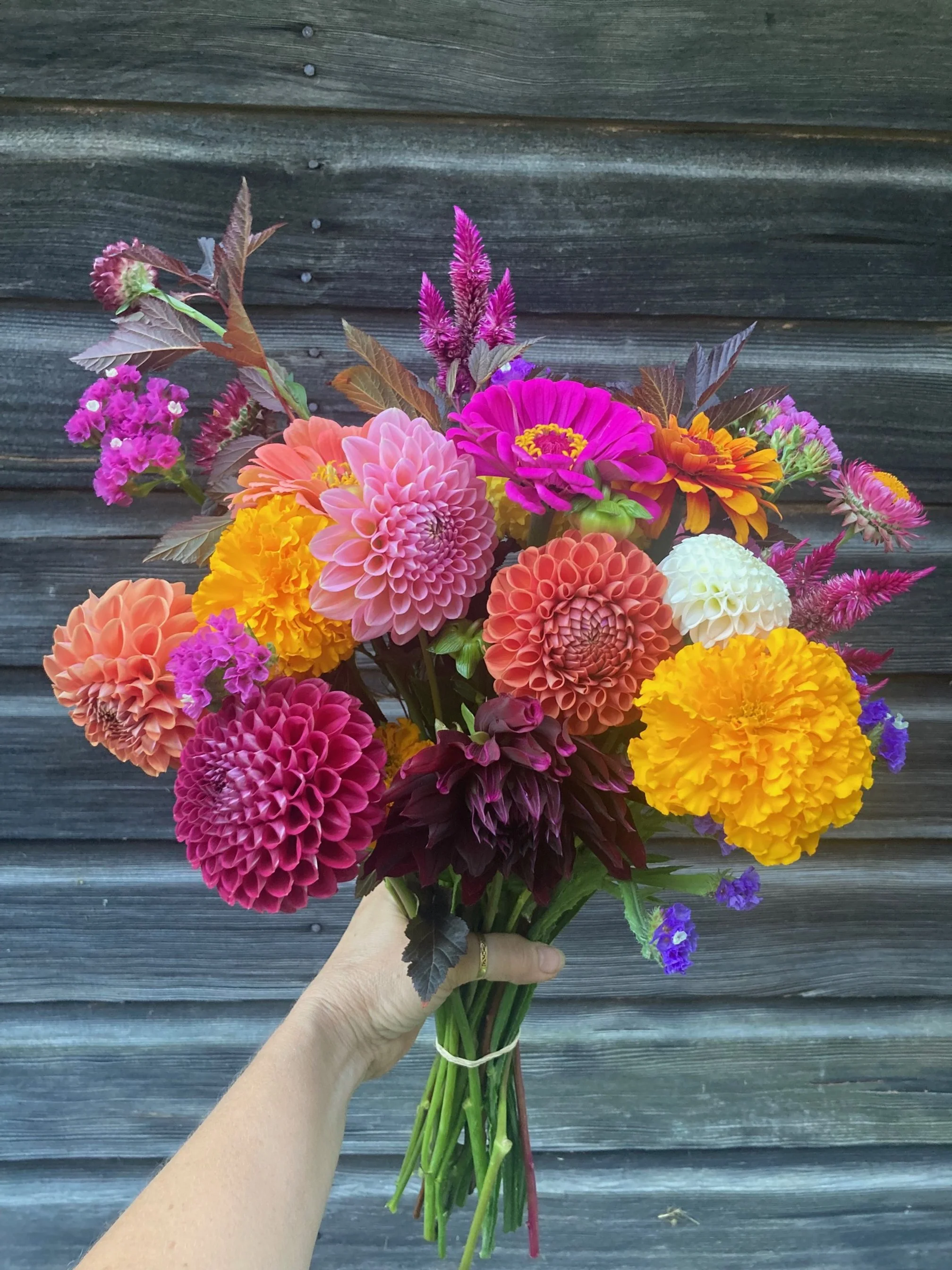 9/23-fall colored bouquet at Hopewell Market