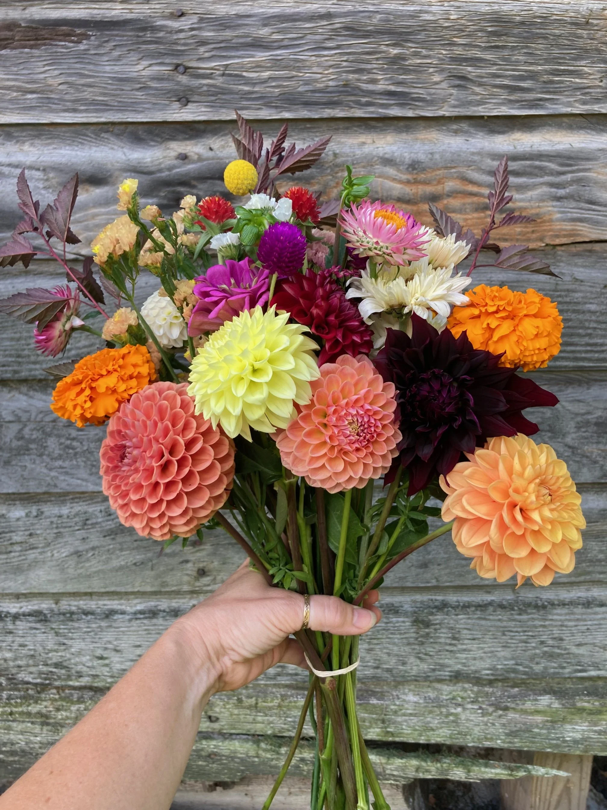 9/24 - bouquet at Beacon Farm Market