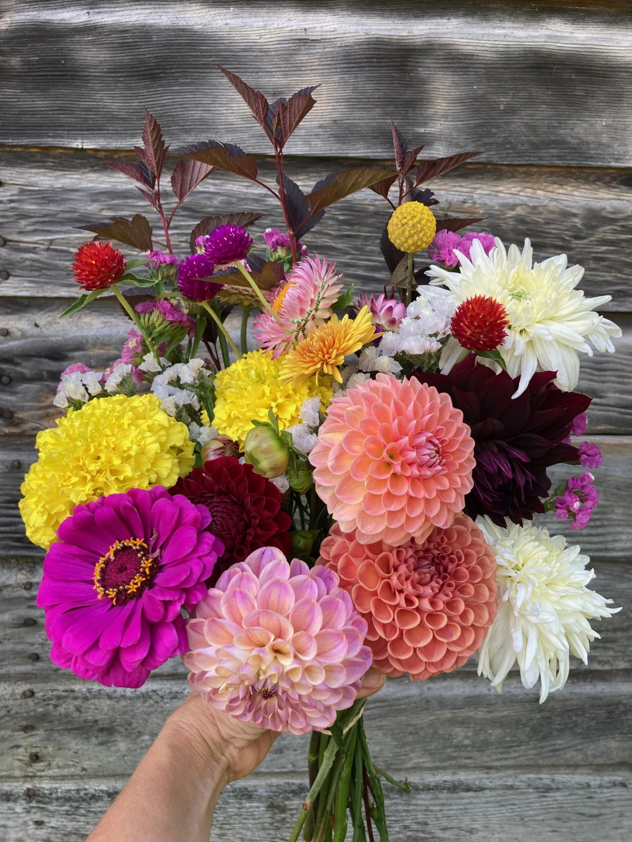 9/24 - bouquet at Beacon Farm Market