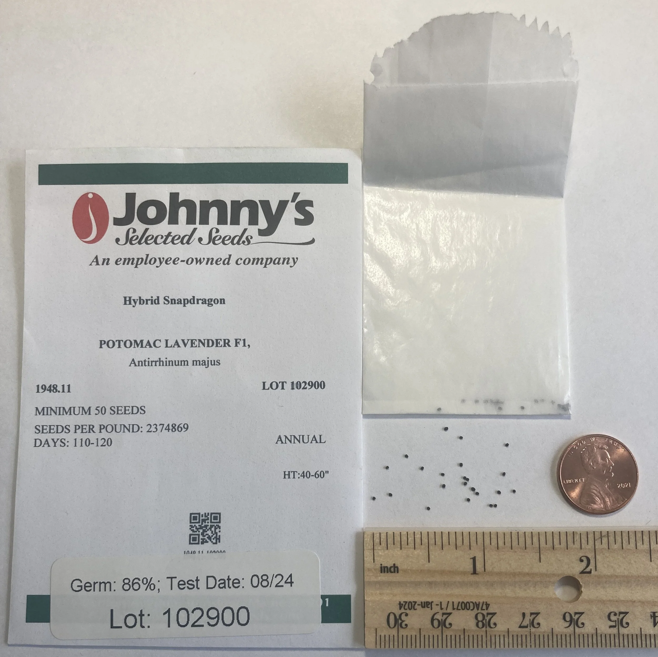 tiny snapdragon seeds non pelleted come in a small bag