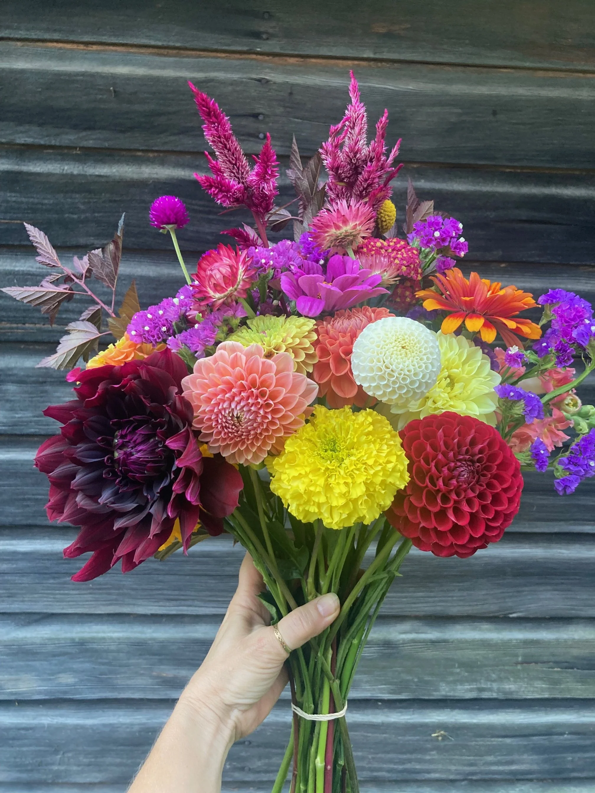 9/23-fall colored bouquet at Hopewell Market