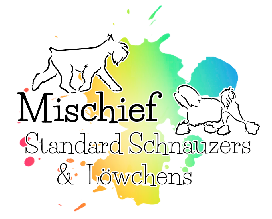 Illustration of two dogs, one standing and one lying down, with text that reads 'Mischief Standard Schnauzers & Löwchens' on a colorful background.