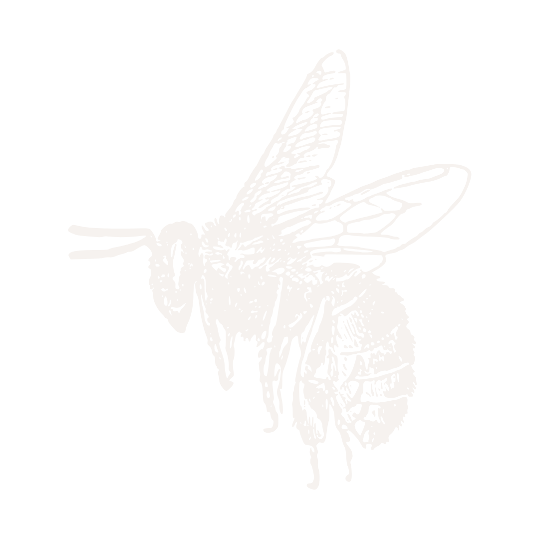 White outline of a honey bee on a black background.