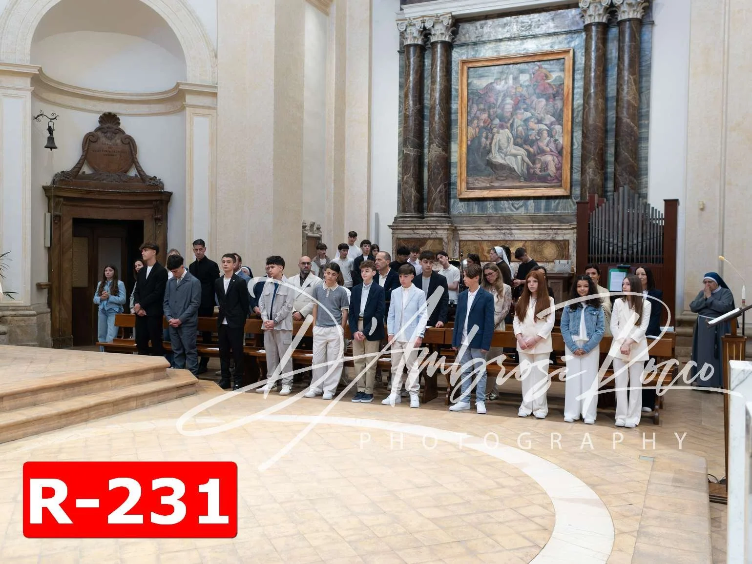 R-231.jpg