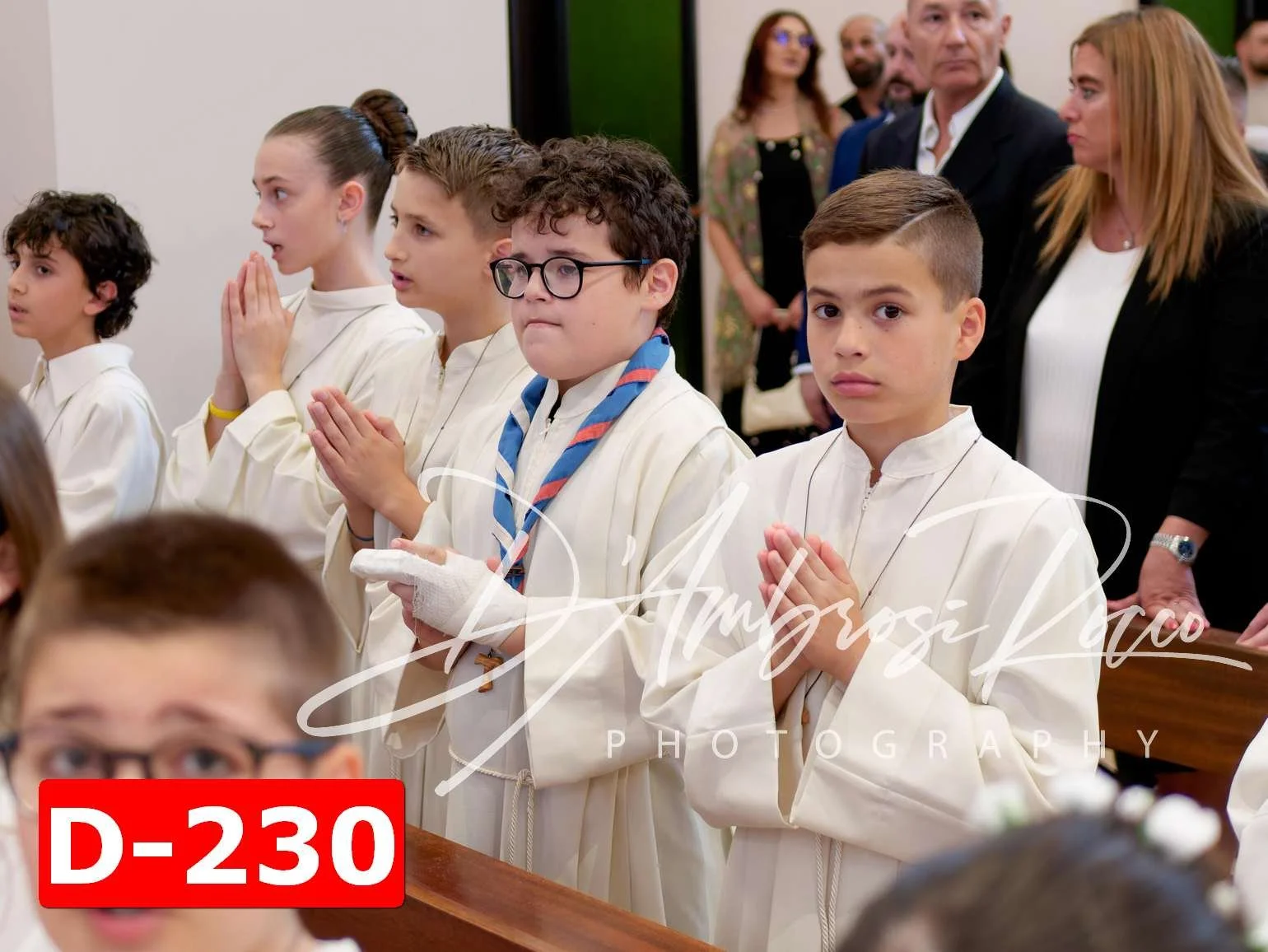 D-230.jpg