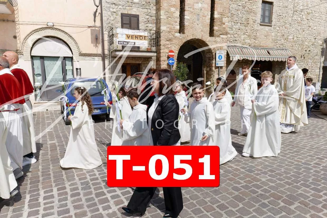 T-051.jpg