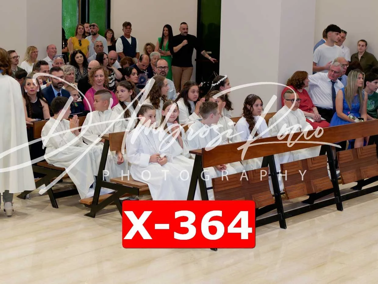 X-364.jpg