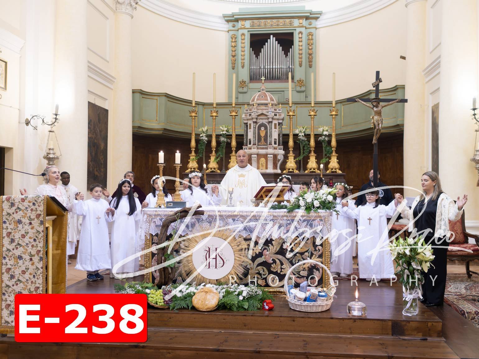 E-238.jpg