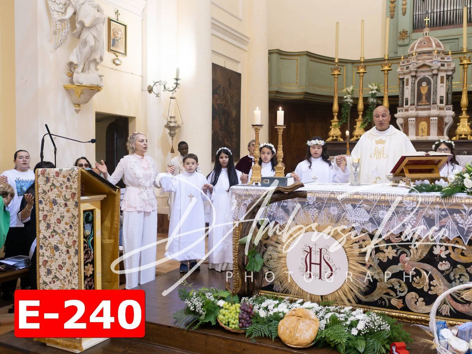 E-240.jpg