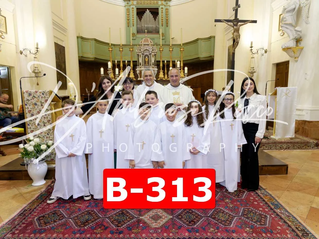 B-313.jpg