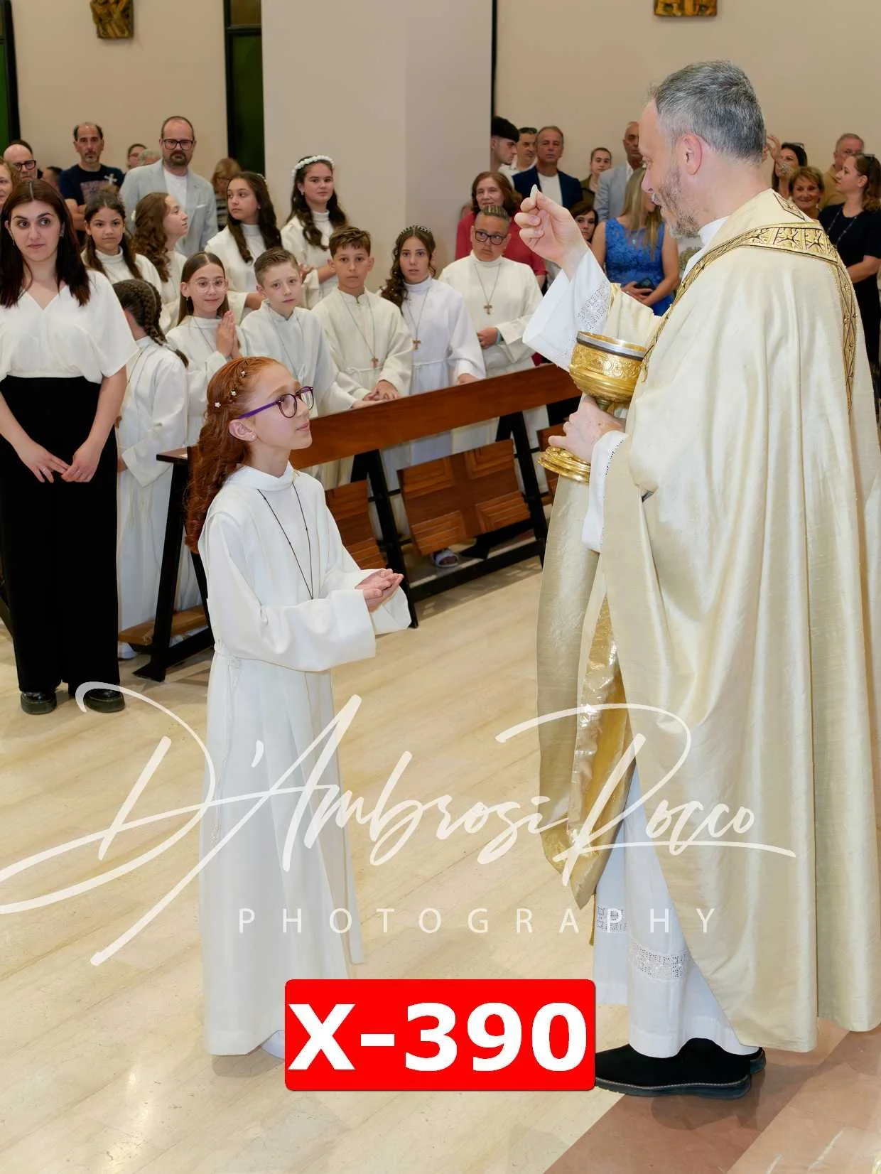 X-390.jpg