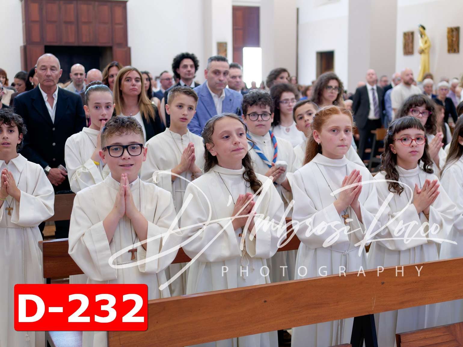 D-232.jpg