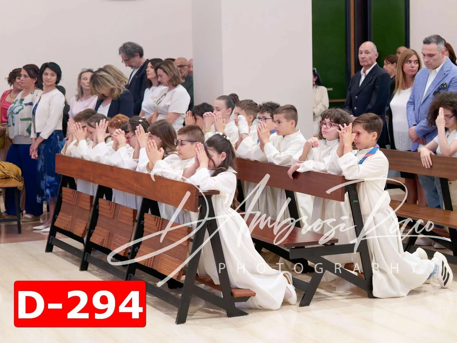 D-294.jpg