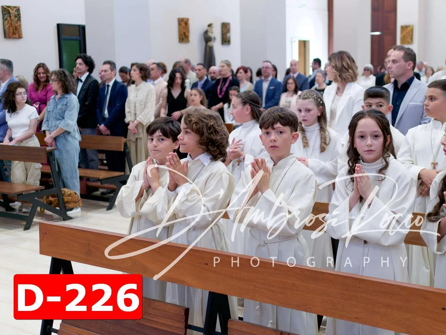 D-226.jpg
