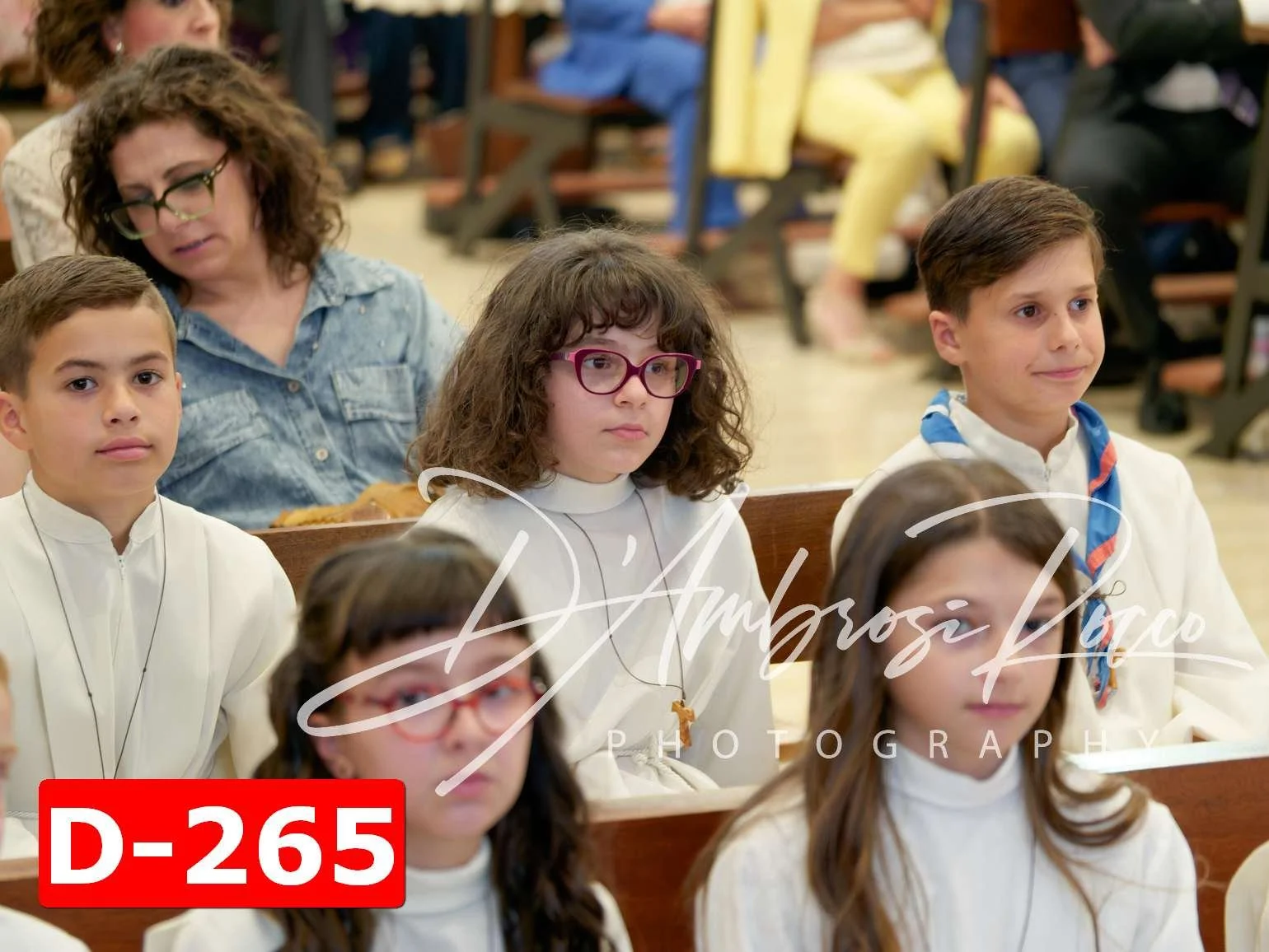D-265.jpg