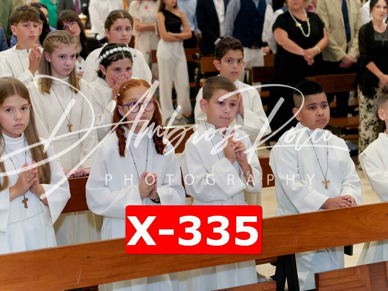 X-335.jpg
