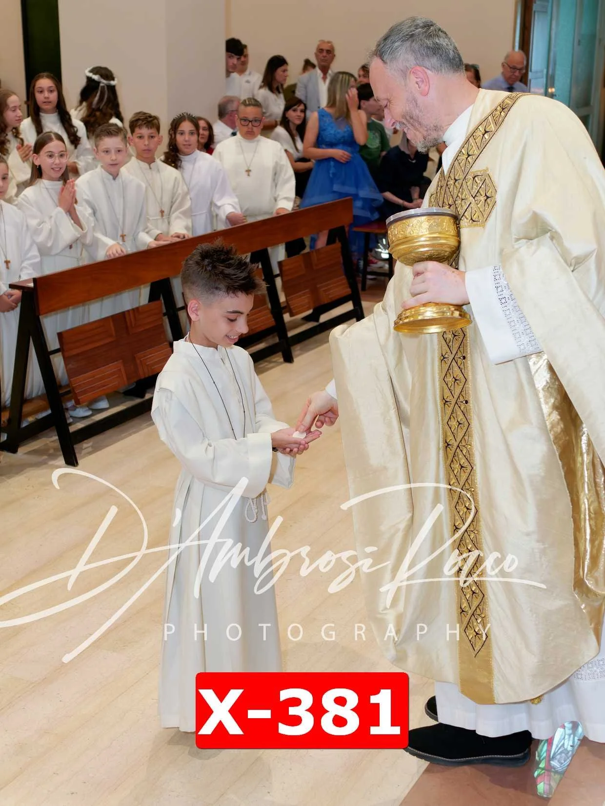 X-381.jpg