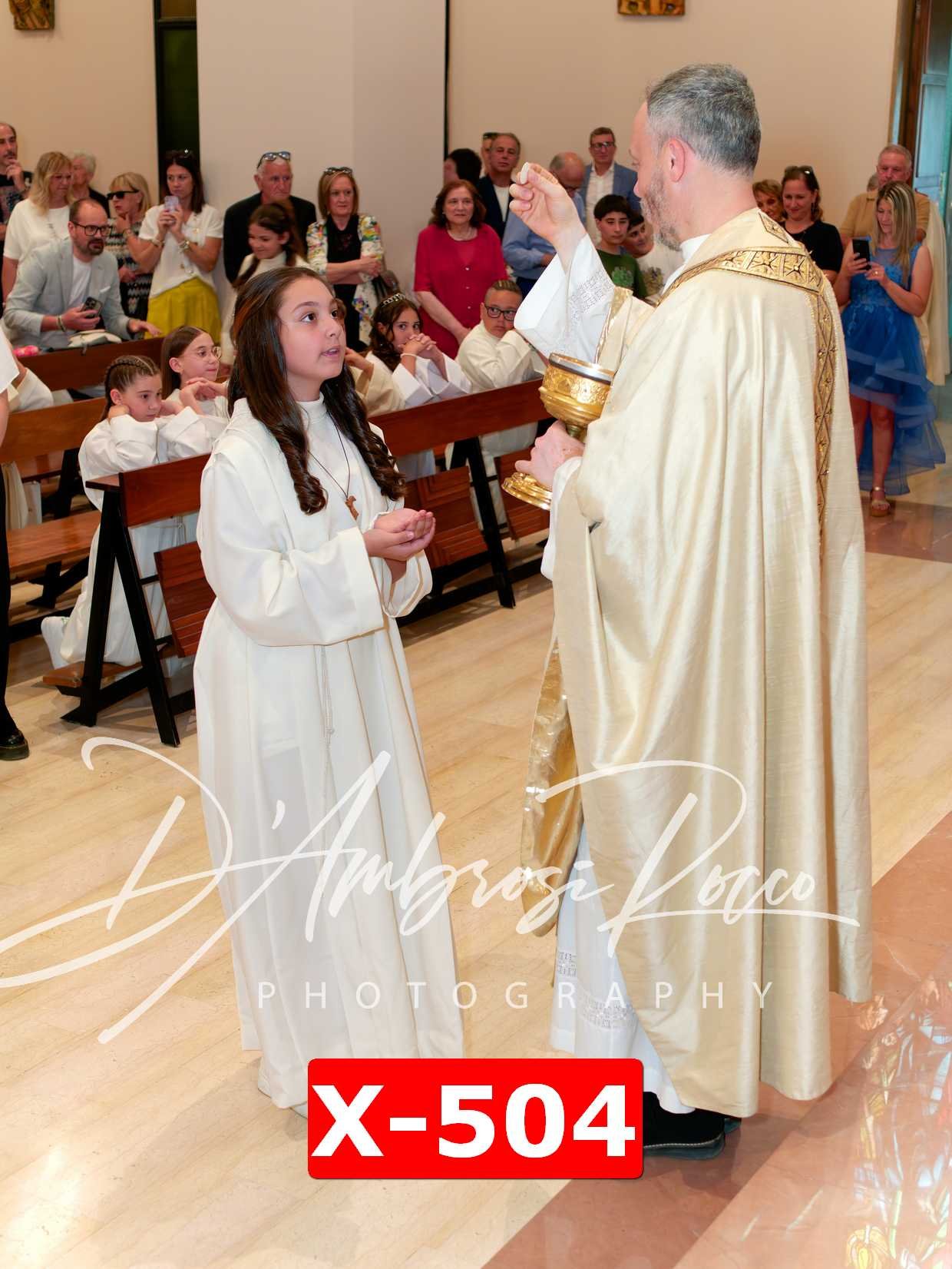 X-504.jpg