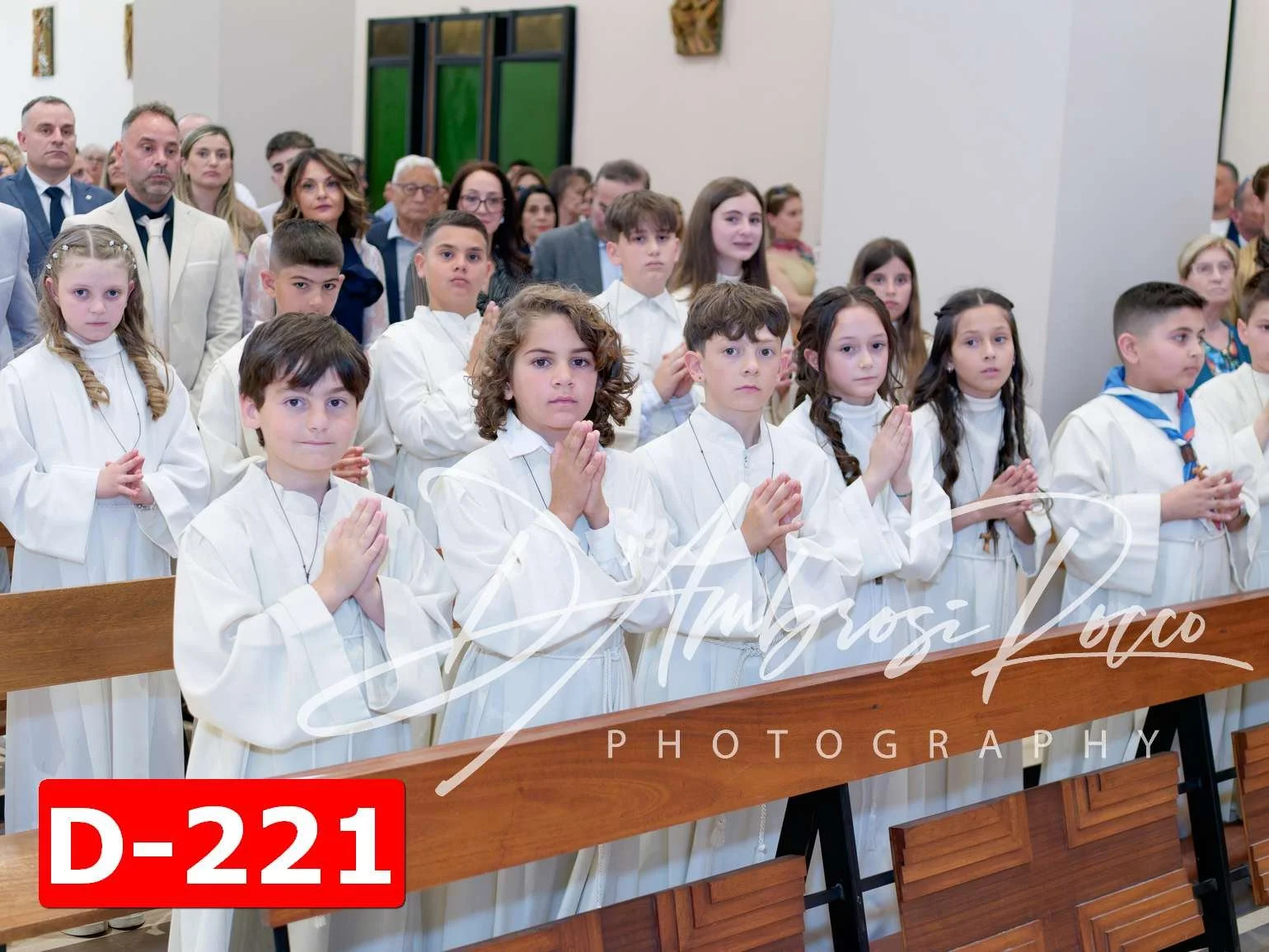 D-221.jpg