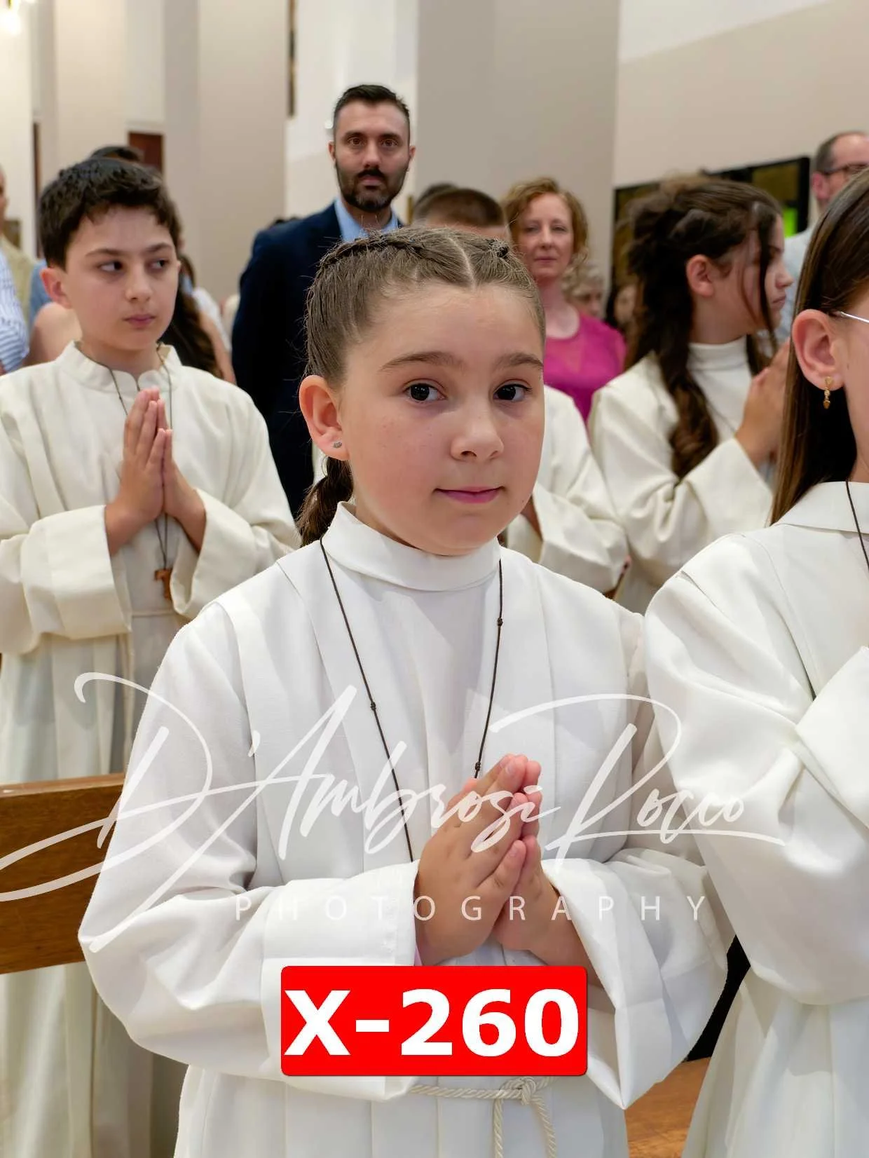 X-260.jpg