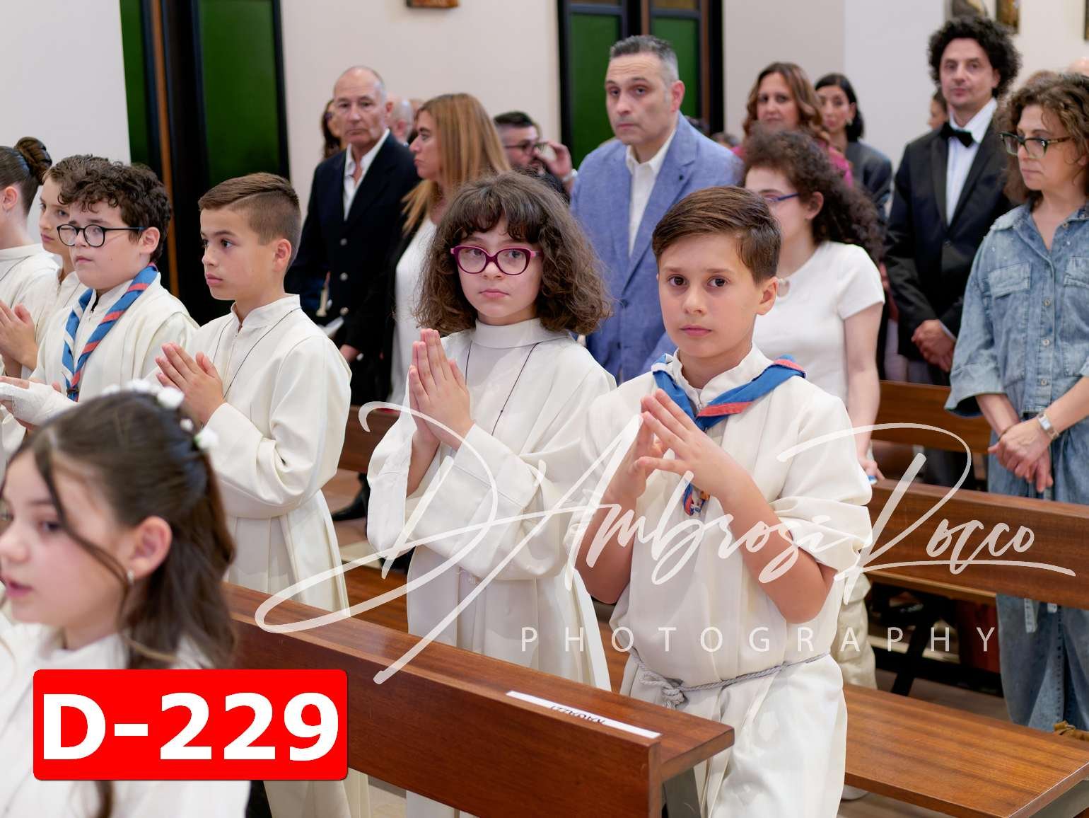 D-229.jpg