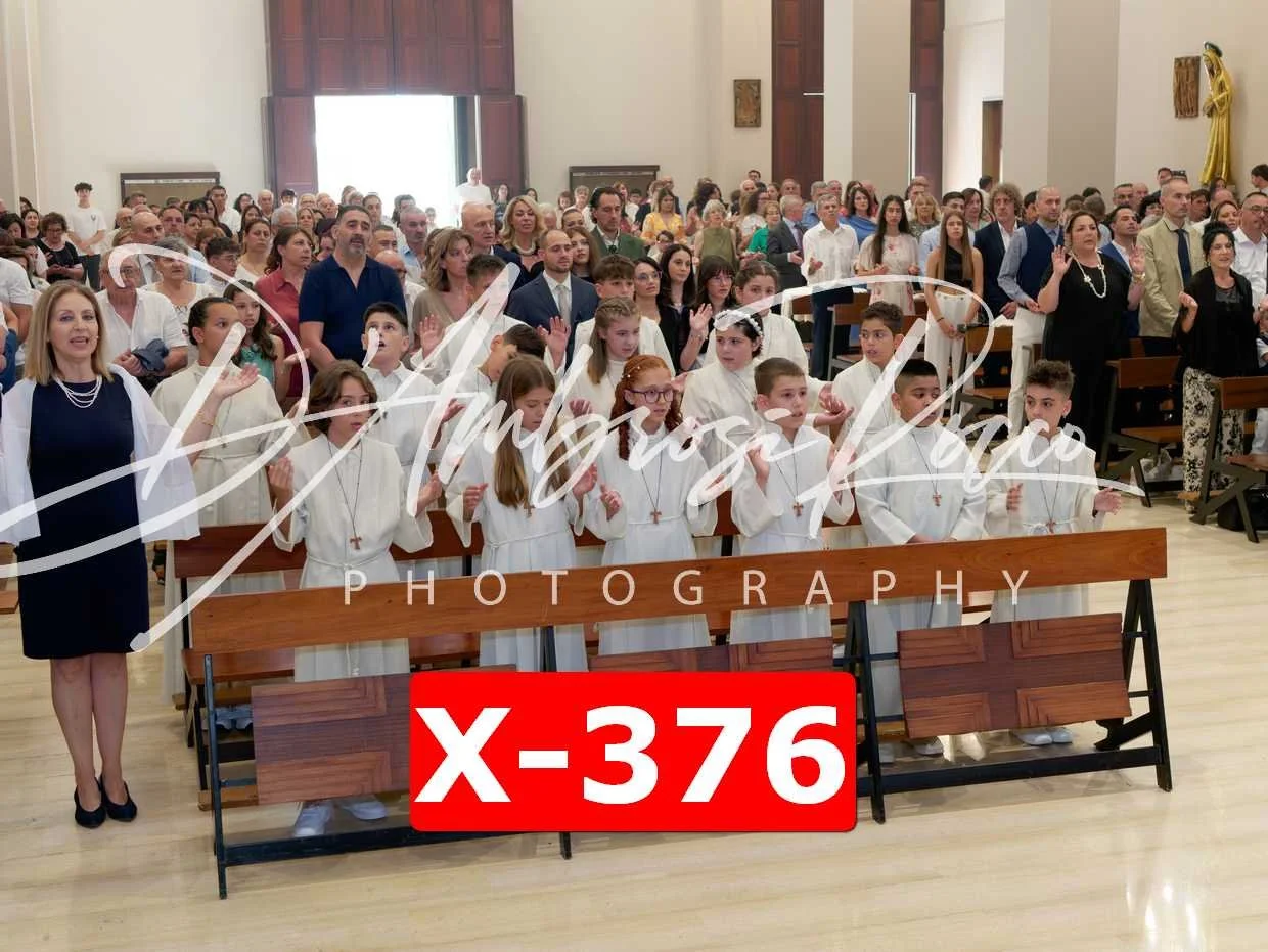 X-376.jpg