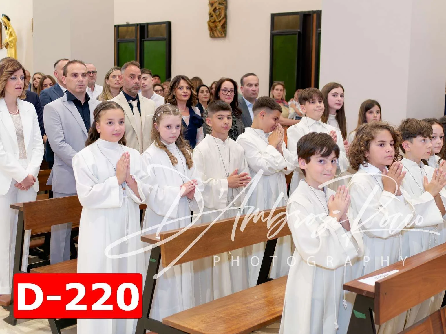 D-220.jpg
