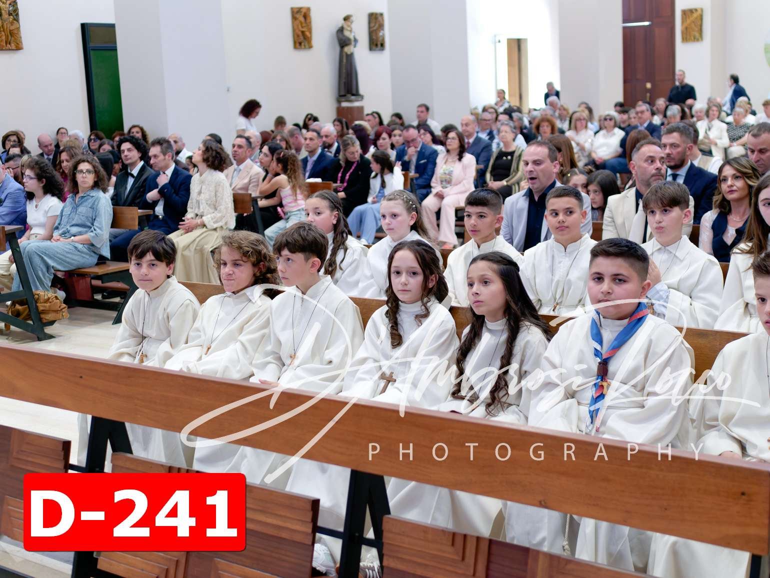 D-241.jpg