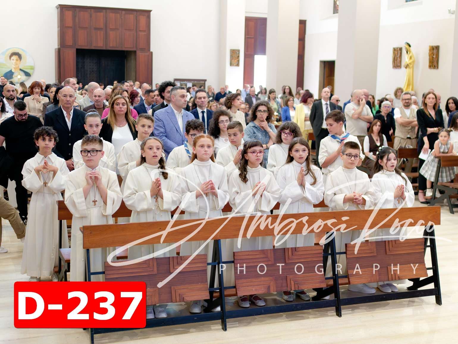 D-237.jpg