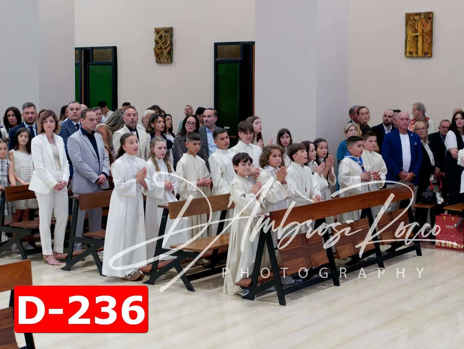 D-236.jpg