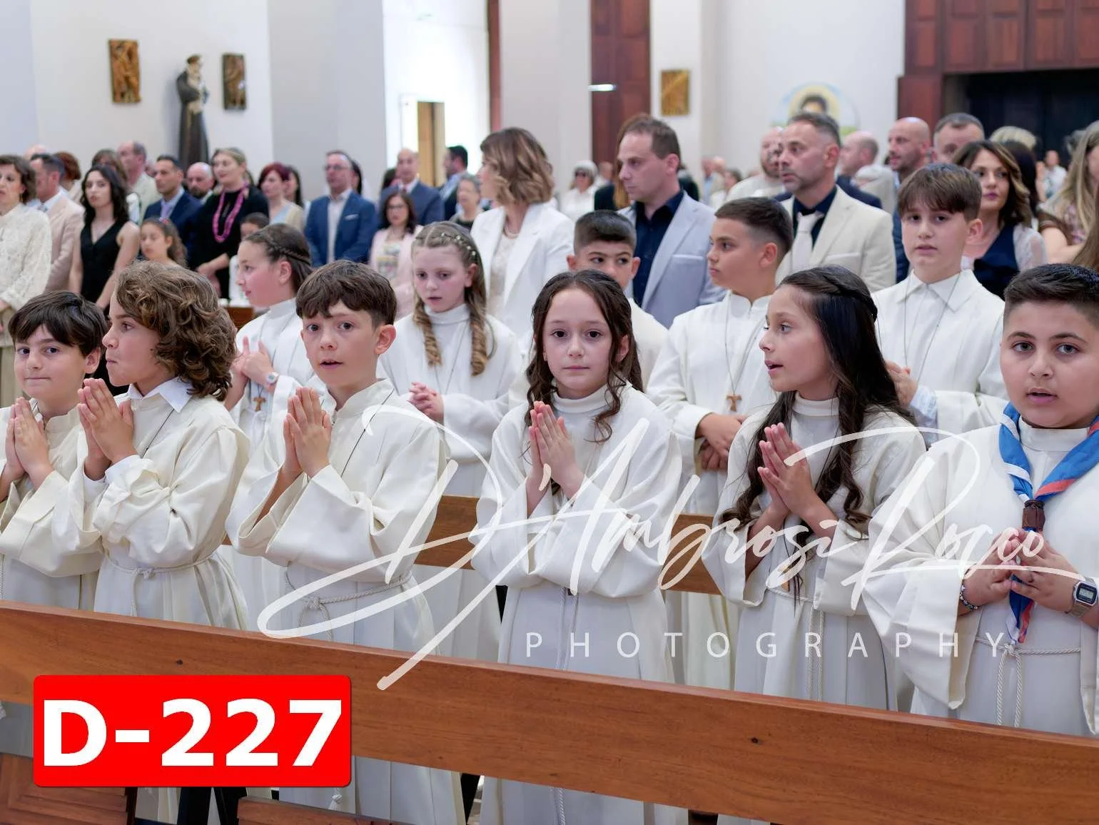 D-227.jpg