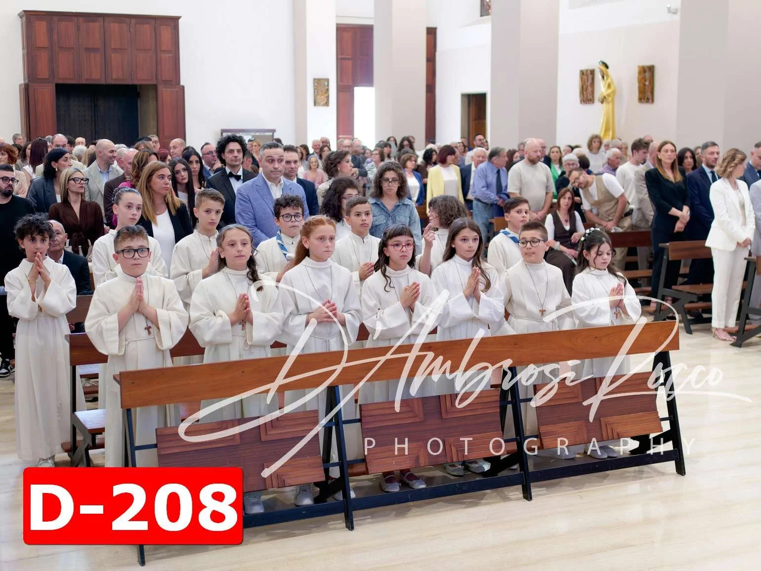 D-208.jpg