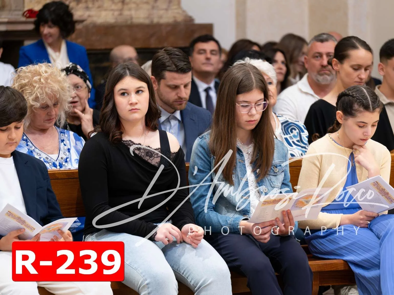 R-239.jpg