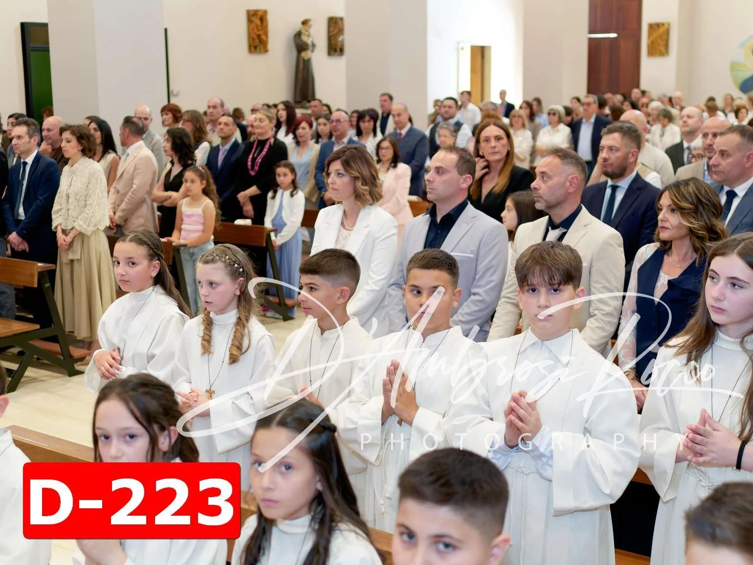 D-223.jpg