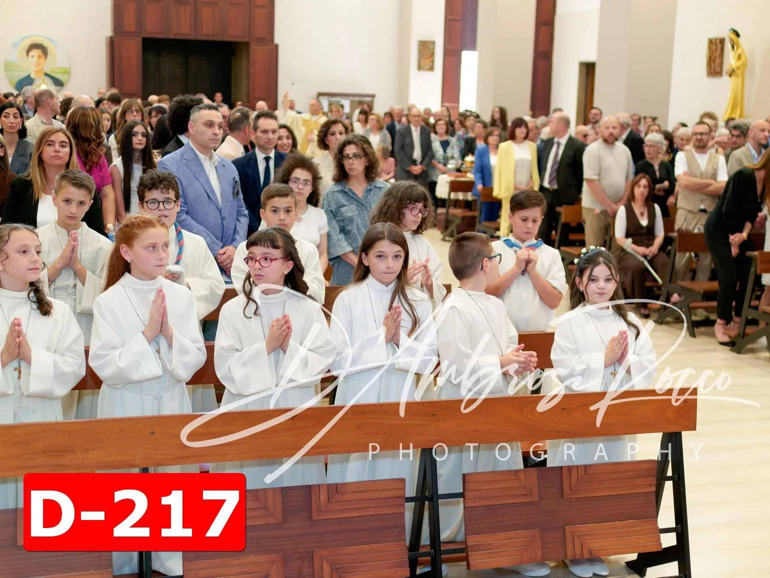 D-217.jpg
