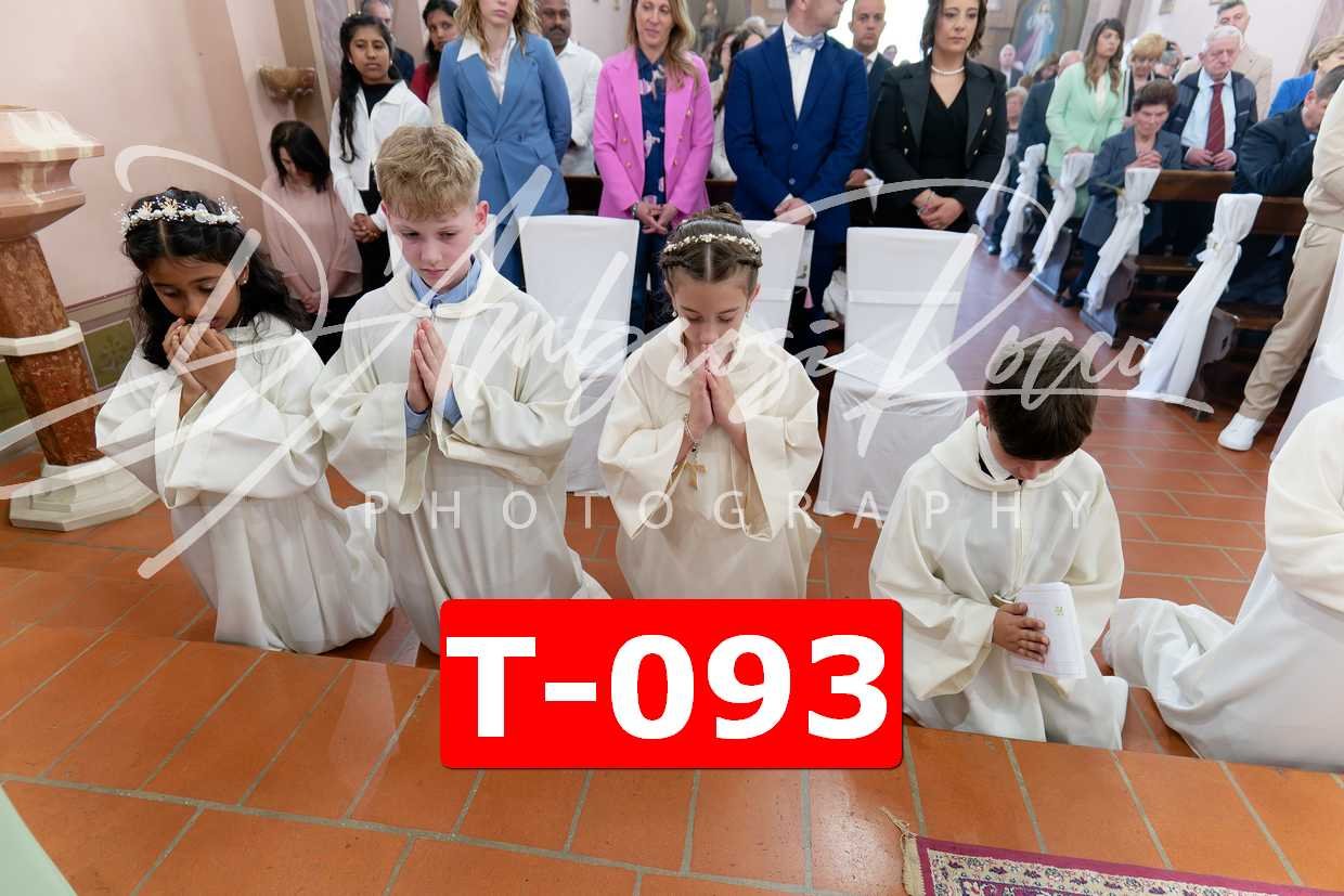 T-093.jpg