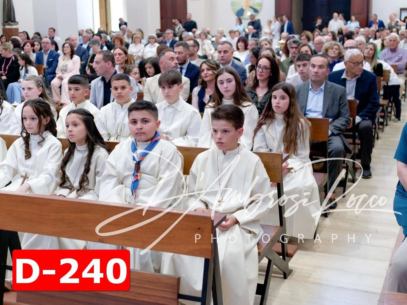 D-240.jpg