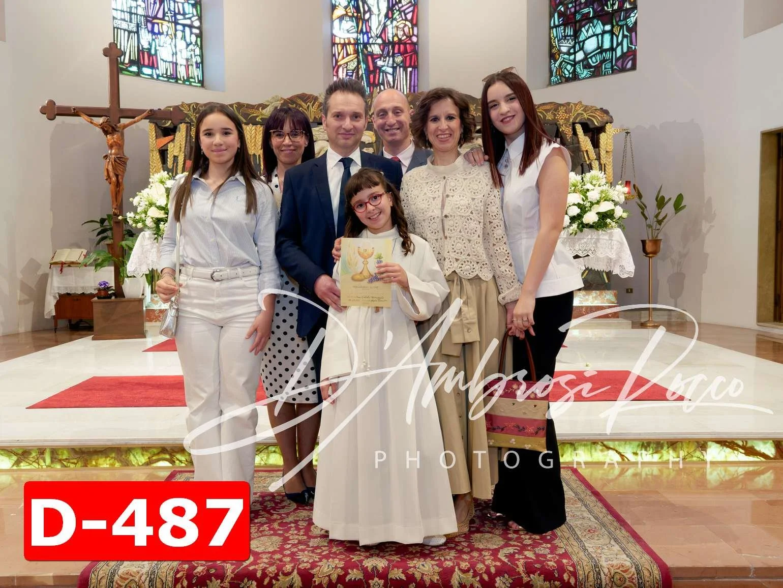 D-487.jpg