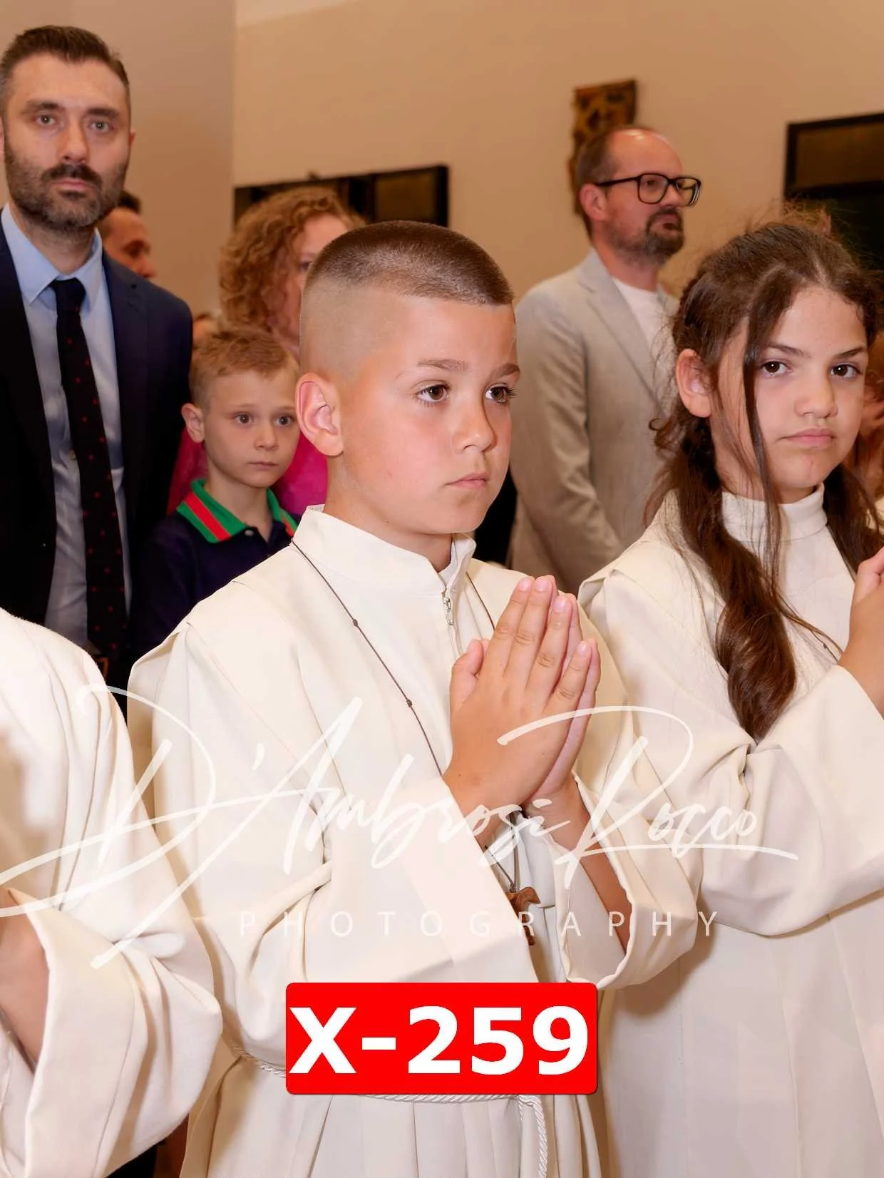 X-259.jpg